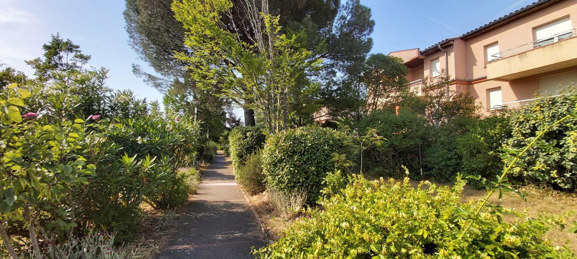 圖盧茲Les Elfes - Avec Entree Autonome, Clim Neuve, Jardin, Parking Prive & Gourmandises Offertes ! -公寓 外观 照片