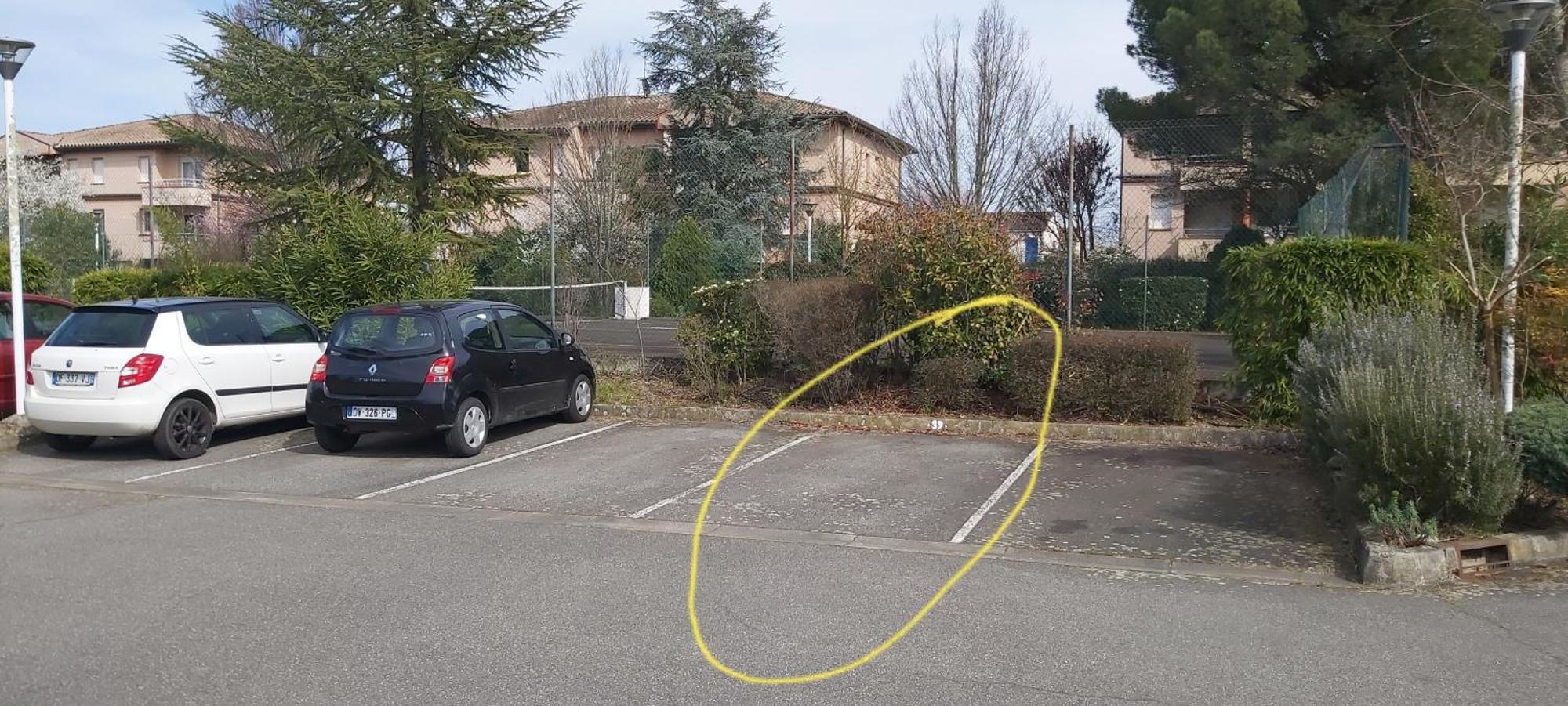 圖盧茲Les Elfes - Avec Entree Autonome, Clim Neuve, Jardin, Parking Prive & Gourmandises Offertes ! -公寓 外观 照片
