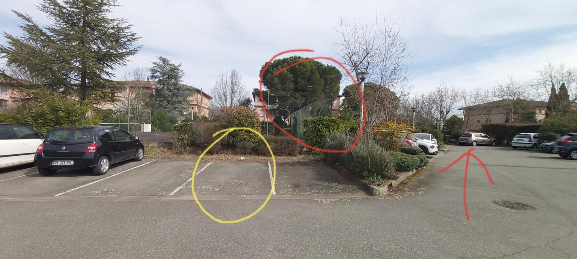 圖盧茲Les Elfes - Avec Entree Autonome, Clim Neuve, Jardin, Parking Prive & Gourmandises Offertes ! -公寓 外观 照片